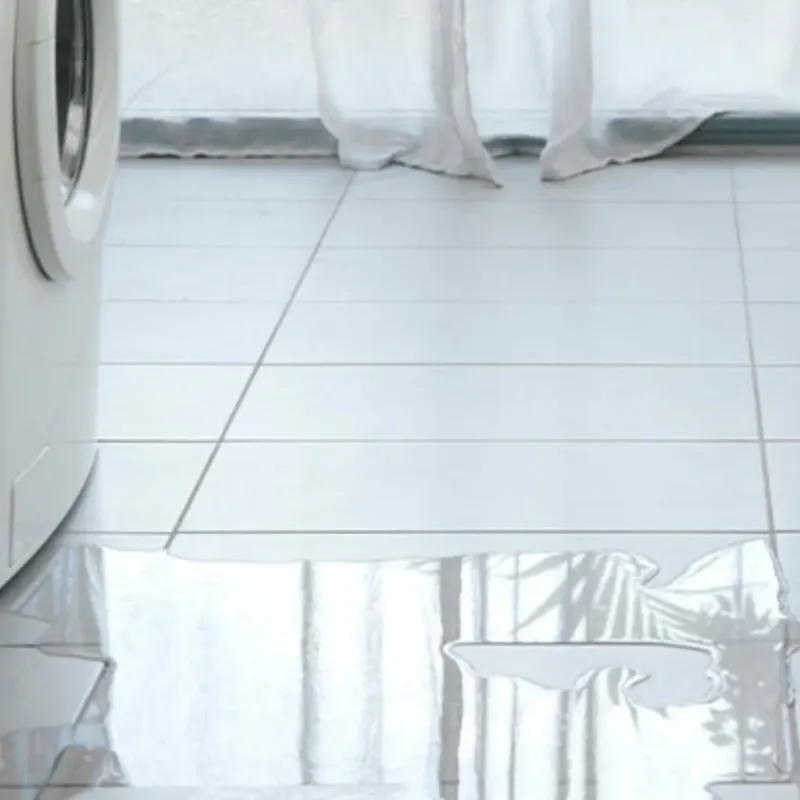 Appliance Leak Cleanup in Marianne, PA