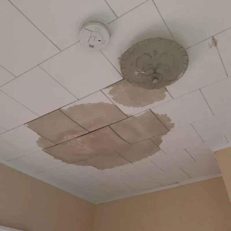 Ceiling Water Damage Repair in Marianne, PA