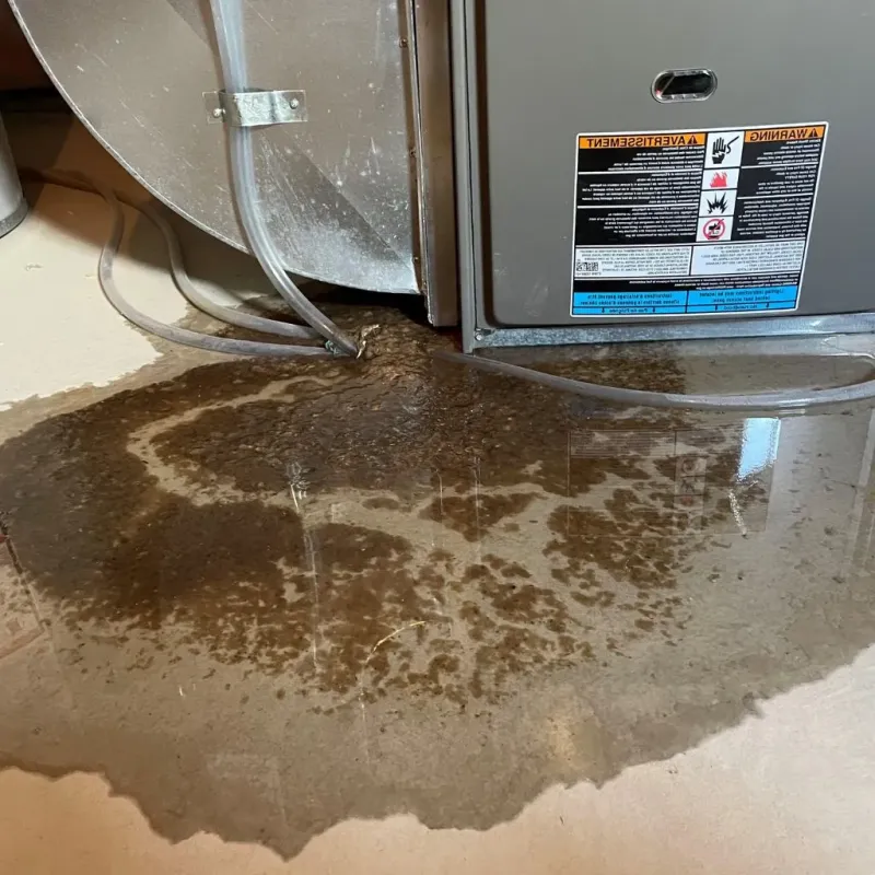 Pipe Burst and Leak Restoration in Marianne, PA