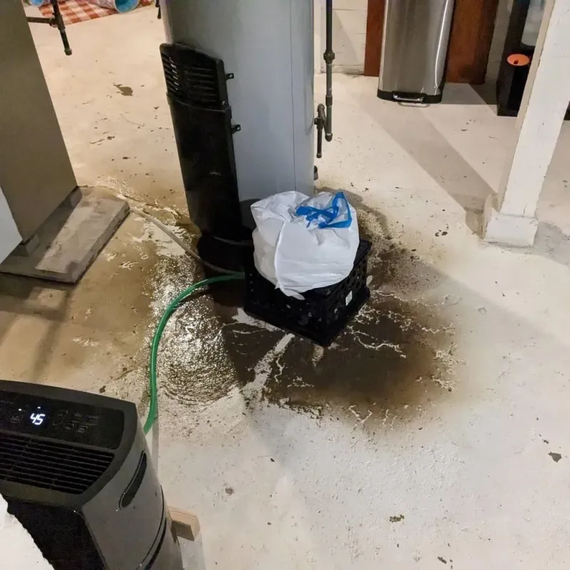 Sewage Backup Cleanup Service in Marianne, PA